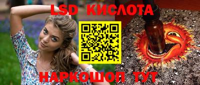 гидропоника Будённовск