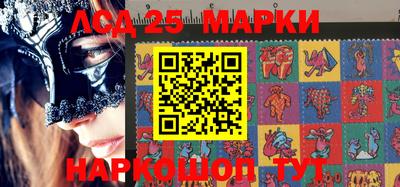 гидропоника Будённовск