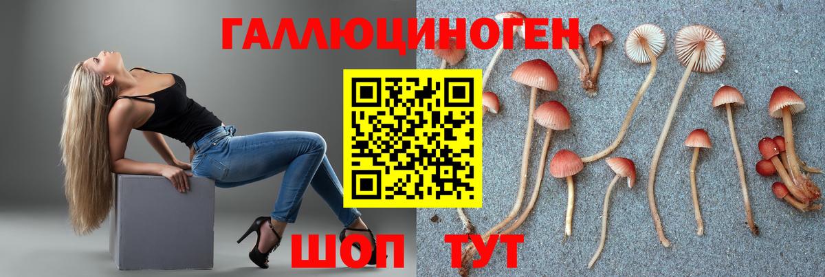 Псилоцибиновые грибы мицелий Бор