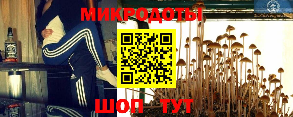 Псилоцибиновые грибы GOLDEN TEACHER  Вход с VPN  Бор 